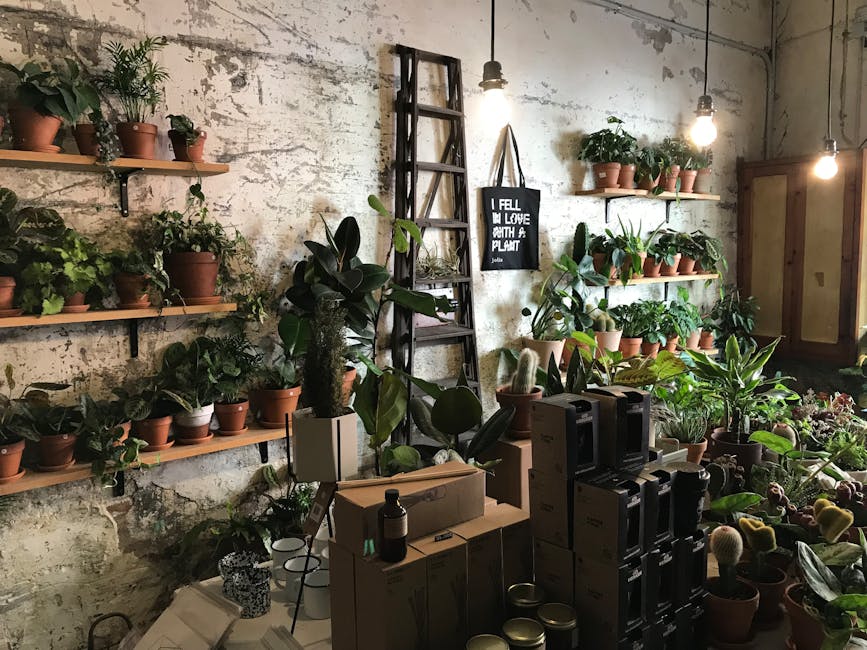 Cozy plant shop filled with potted greenery, boxes, and ambient lighting.