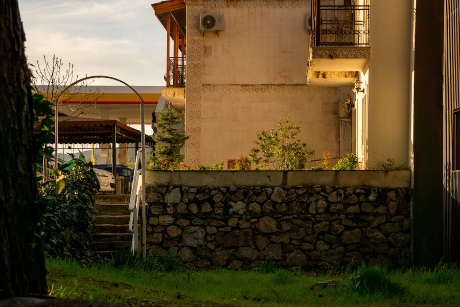 Sunlit urban scene featuring a stone wall with greenery and nearby architecture.