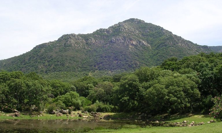 Pese a la sequía y el cambio climático, Andalucía es hoy más verde que en los 90. No es tan positivo como parece