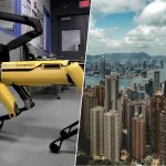 Hong Kong afronta una enorme crisis de salud pública por el virus chikungunya. Su solución: un ejército de perros robot