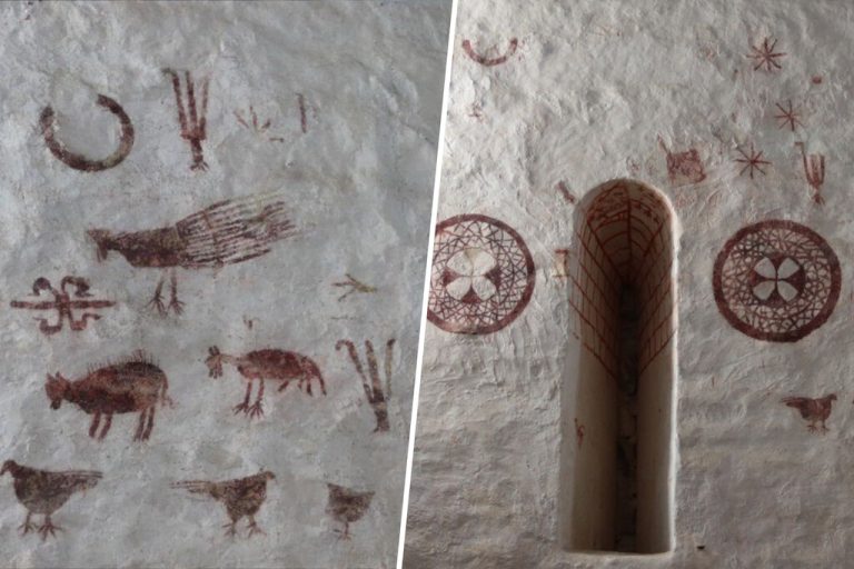 Los muros de una iglesia medieval de Álava ocultaban figuras de jabalíes, pavos y discos. Nadie sabe qué hacen ahí
